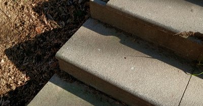 Schritt-für Schritt-Anleitung Beispiele