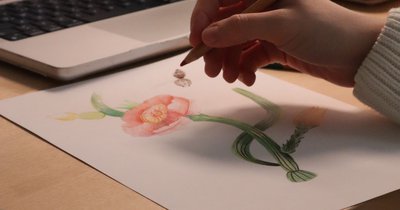 Zeichnen Schritt für Schritt lernen