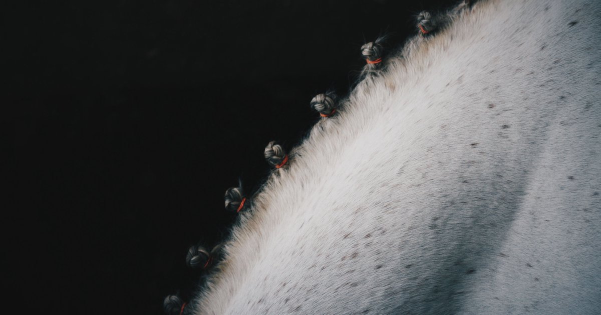 Scoubidou Bänder flechten: Anfänger-Anleitung